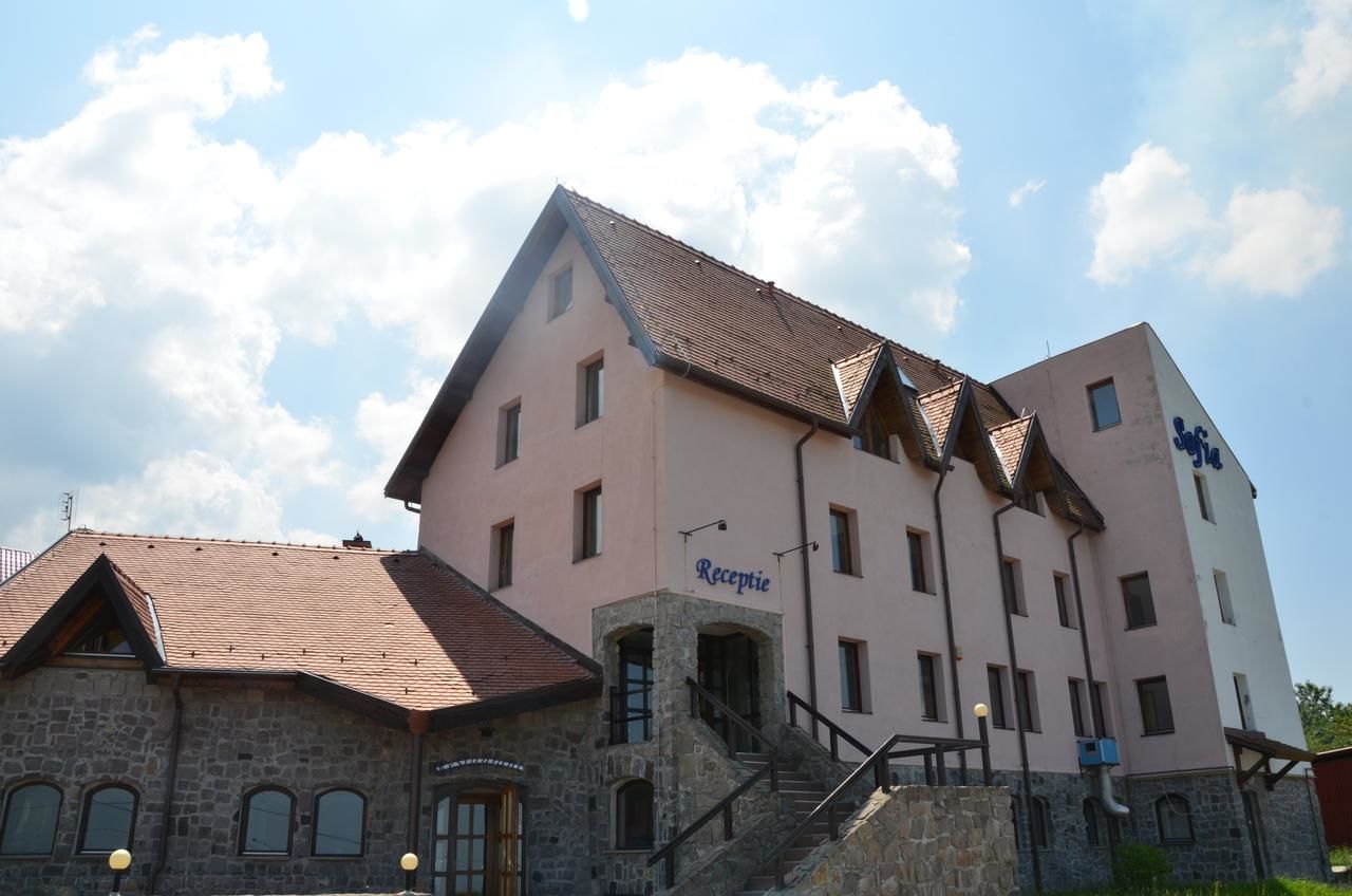 Отель Hotel Sofia Бран-4