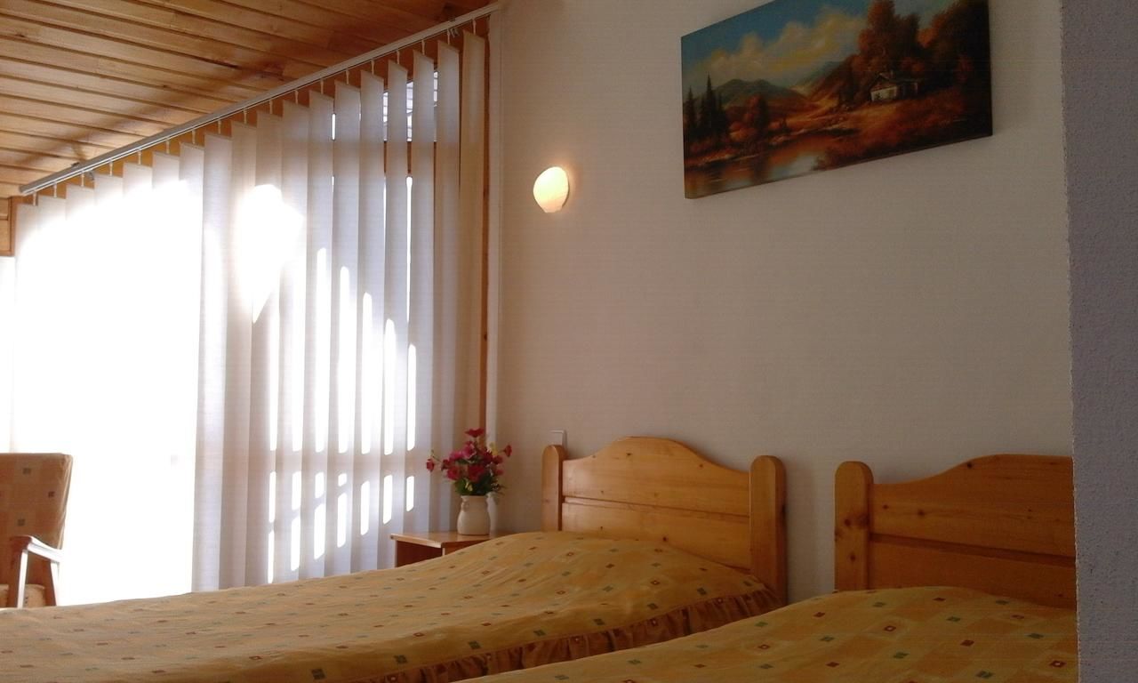Отель Hotel Sofia Бран-15