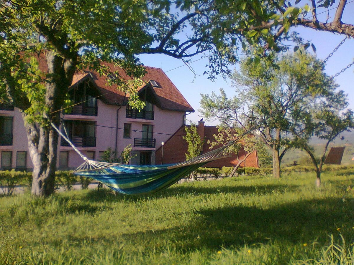 Отель Hotel Sofia Бран-37