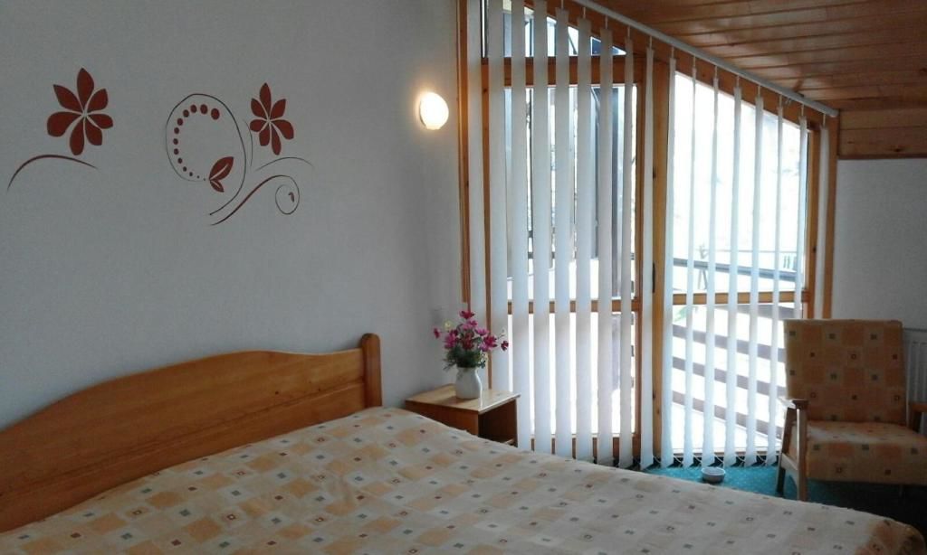 Отель Hotel Sofia Бран