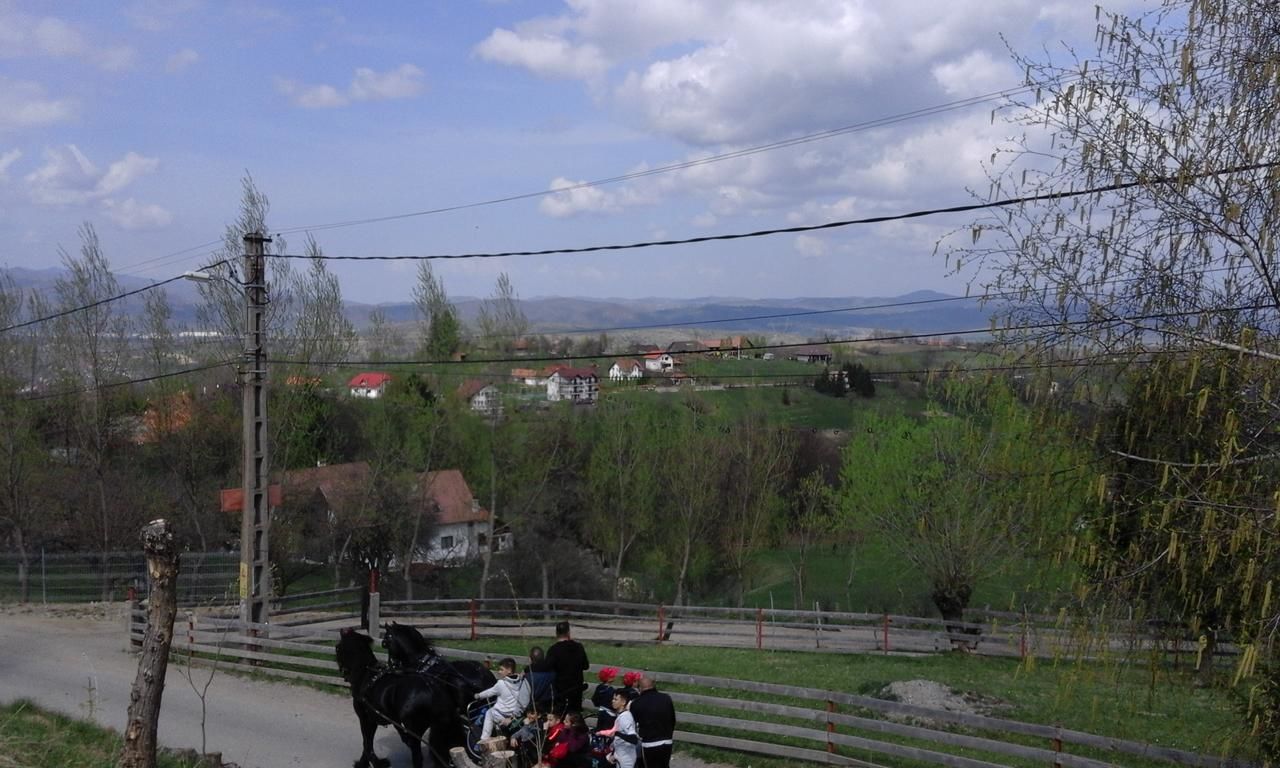 Отель Hotel Sofia Бран-9