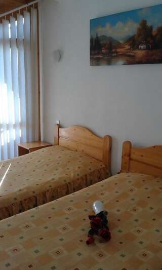Отель Hotel Sofia Бран Двухместный номер с 2 отдельными кроватями-4