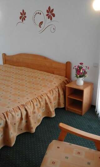 Отель Hotel Sofia Бран Двухместный номер с 1 кроватью-5