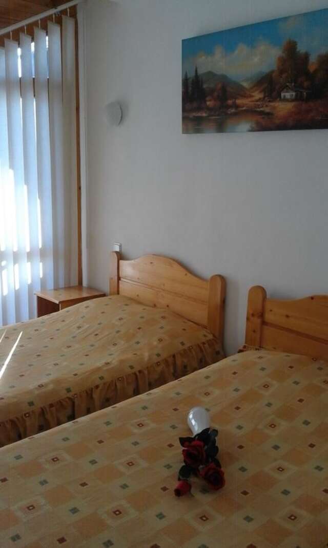 Отель Hotel Sofia Бран-19