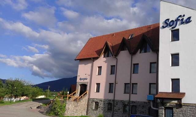 Отель Hotel Sofia Бран-21