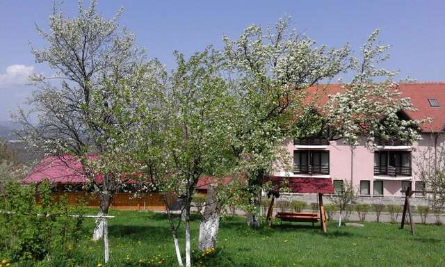 Отель Hotel Sofia Бран-22