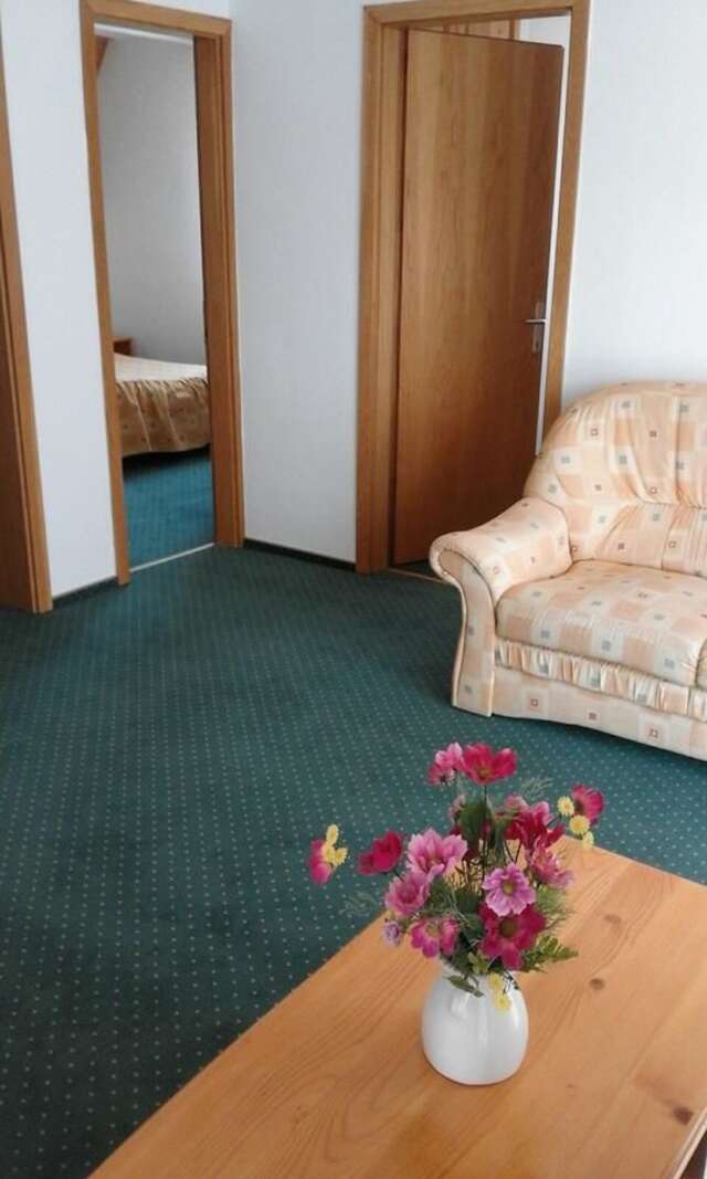 Отель Hotel Sofia Бран-42