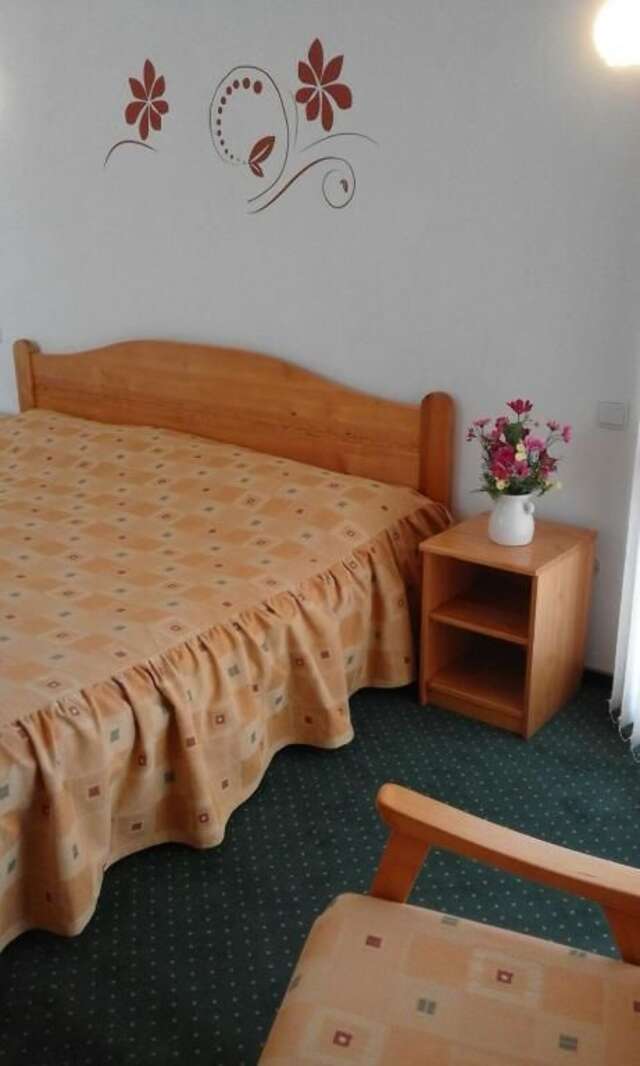 Отель Hotel Sofia Бран-46