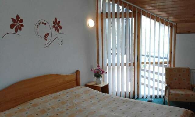 Отель Hotel Sofia Бран-49